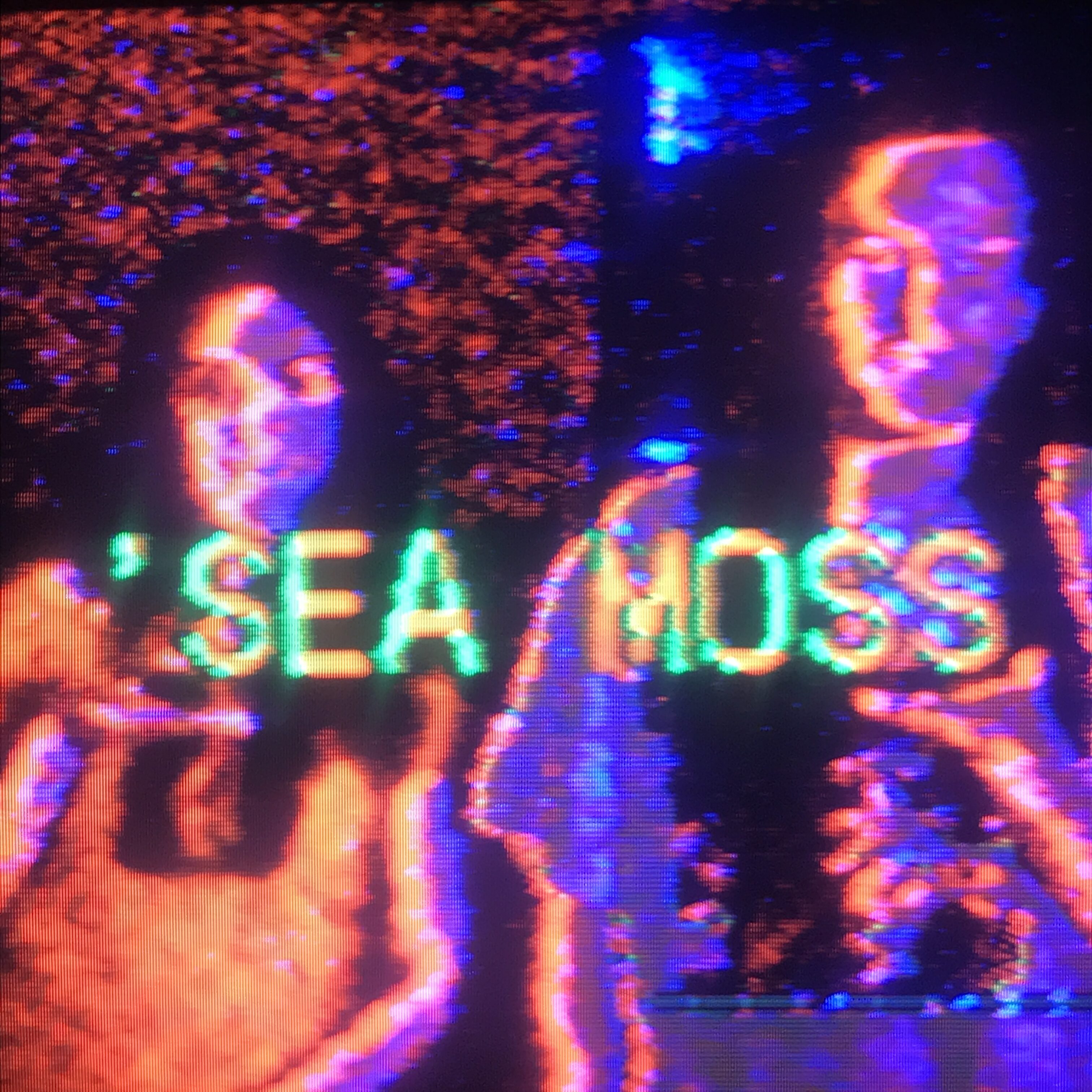 sea-moss