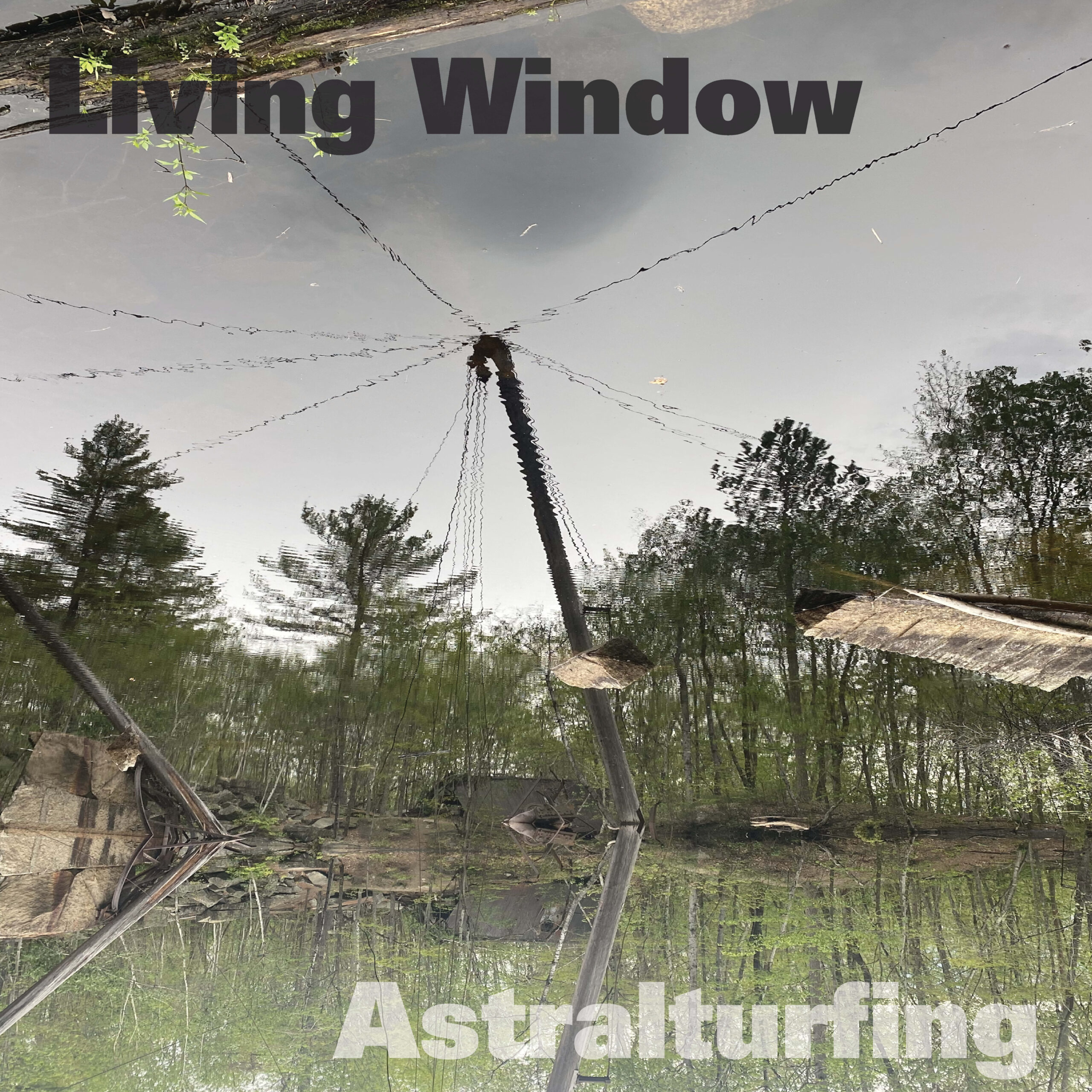 Living Window